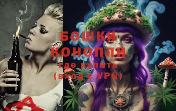 прущая мука Няндома